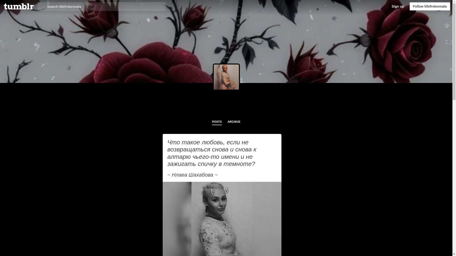 website screenshot of https://lillefrokennala.blog/