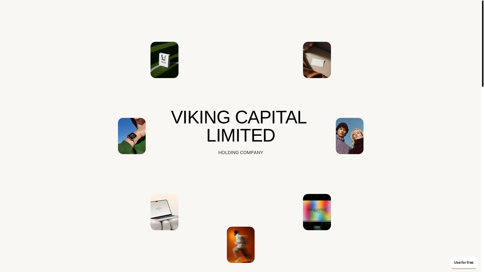 website screenshot of https://vikingcapitalltd.com/