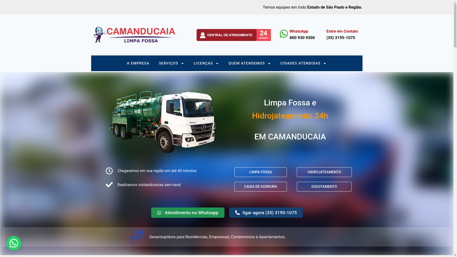 website screenshot of https://paratylimpadora.com.br/