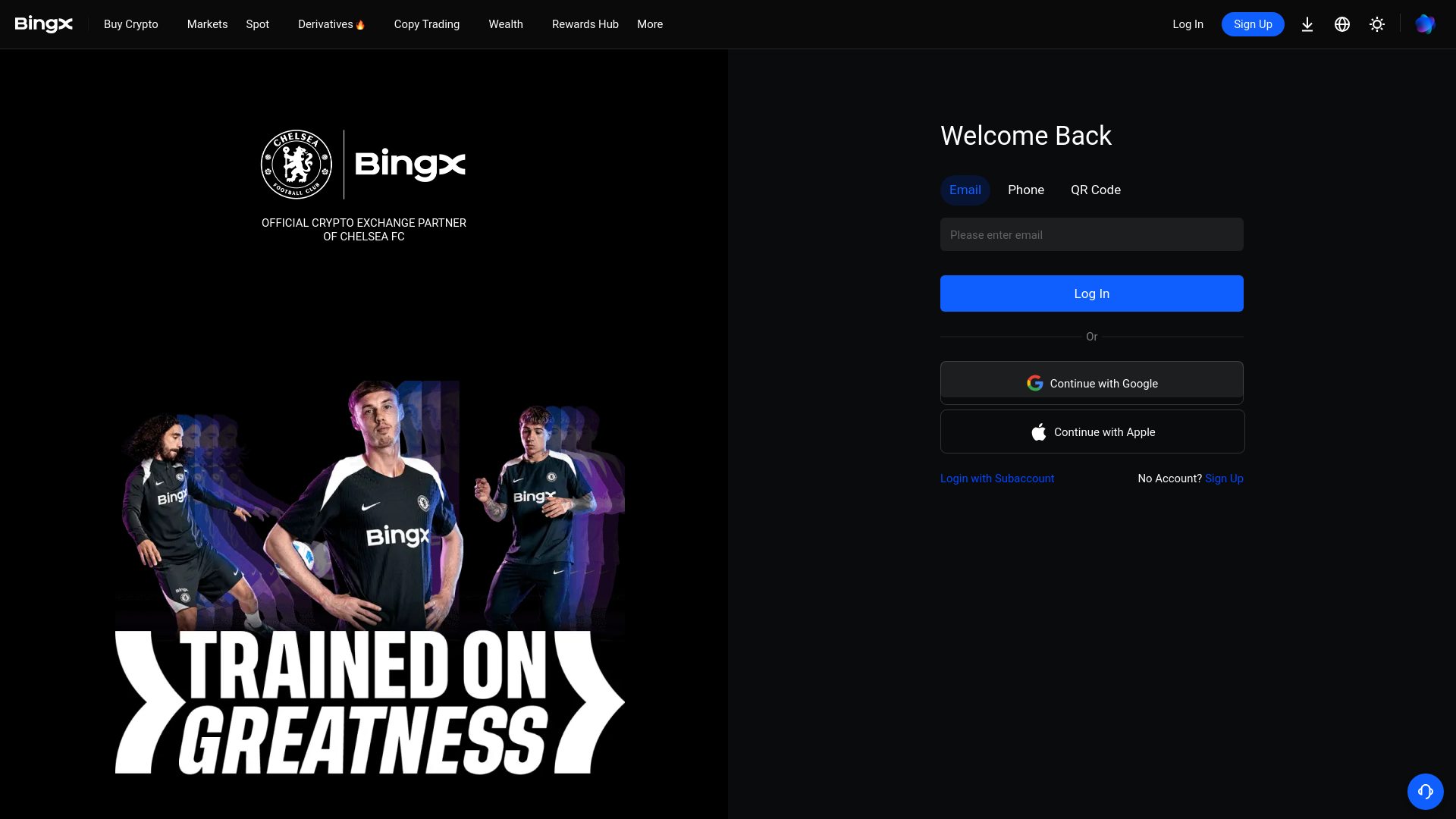 website screenshot of https://accountsbingx.com/