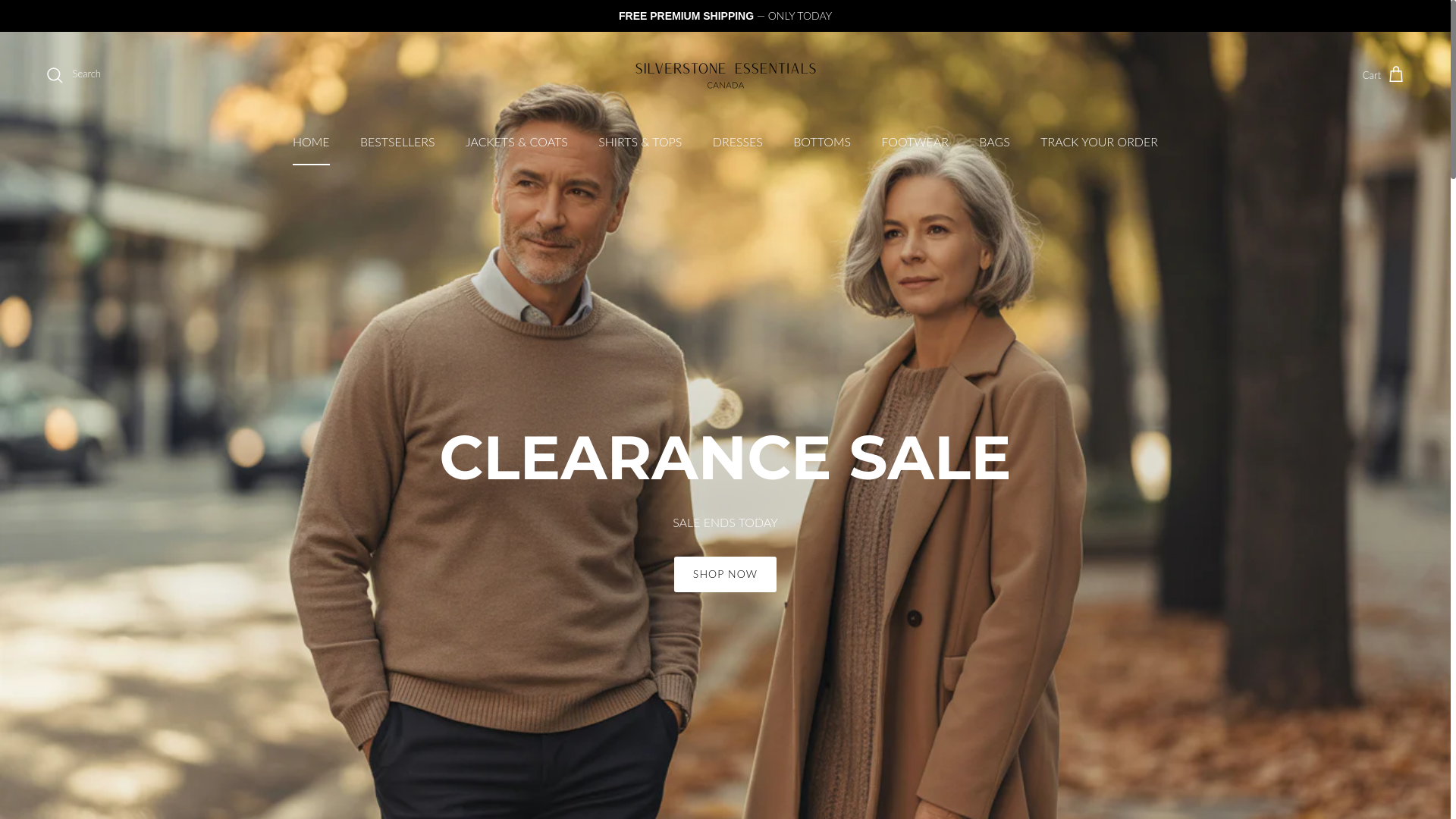 website screenshot of https://finesse-montreal.ca/