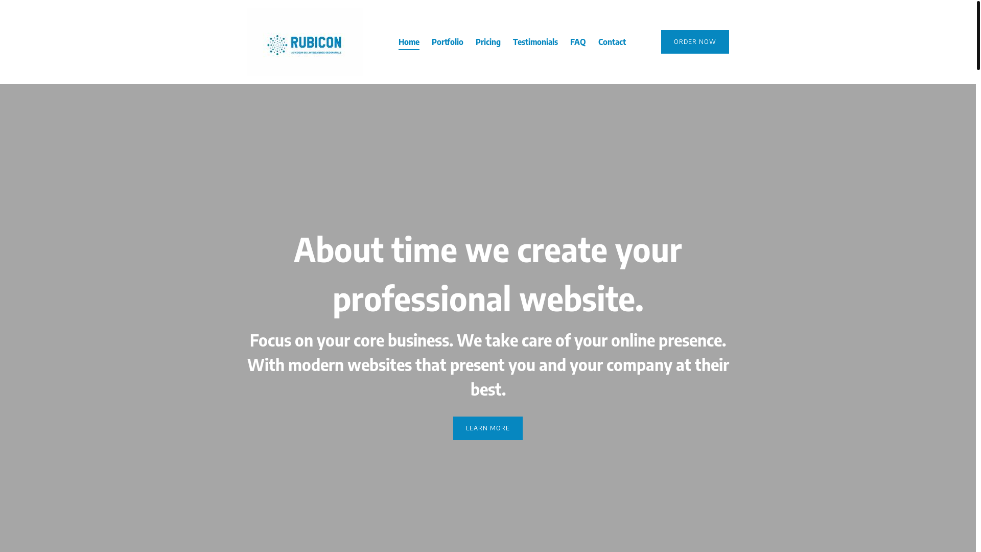 website screenshot of https://spatial-rubicon.com/