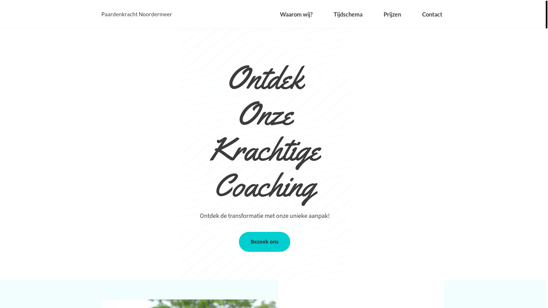 website screenshot of https://paardenkrachtnoordermeer.nl/