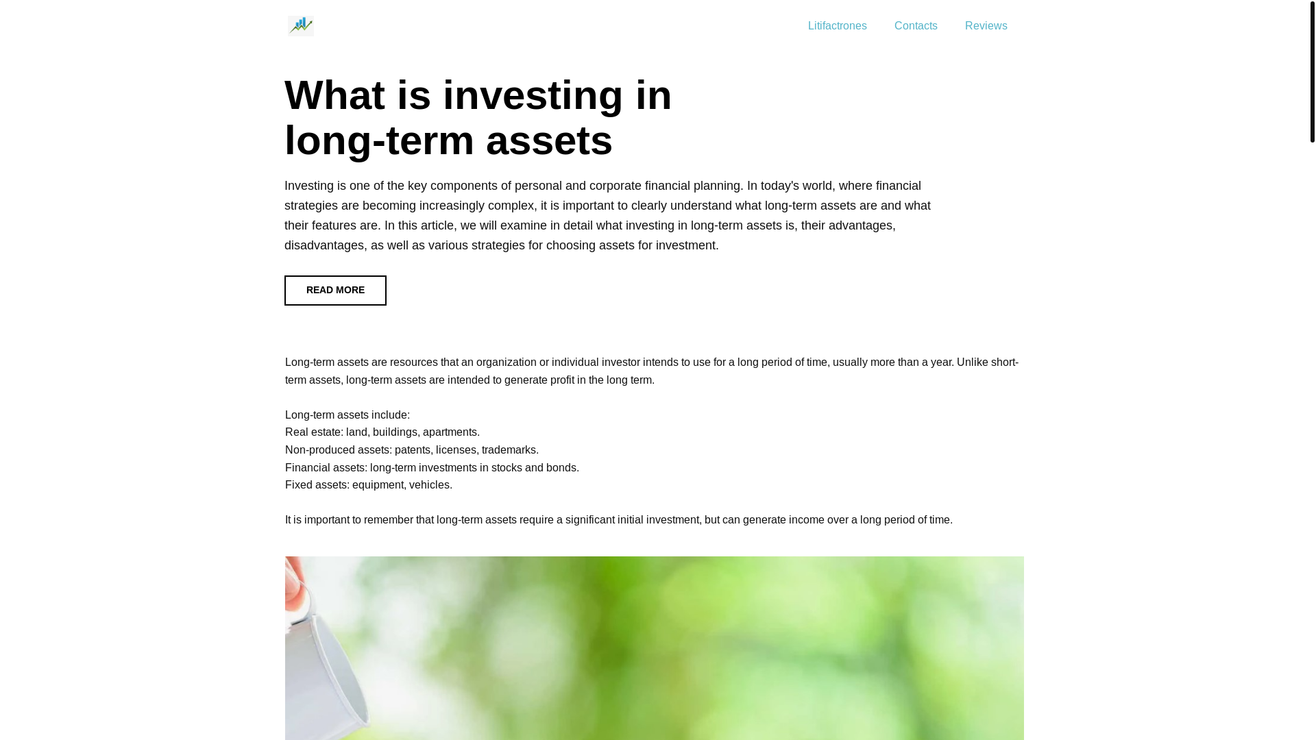 website screenshot of https://litifactrones.de/