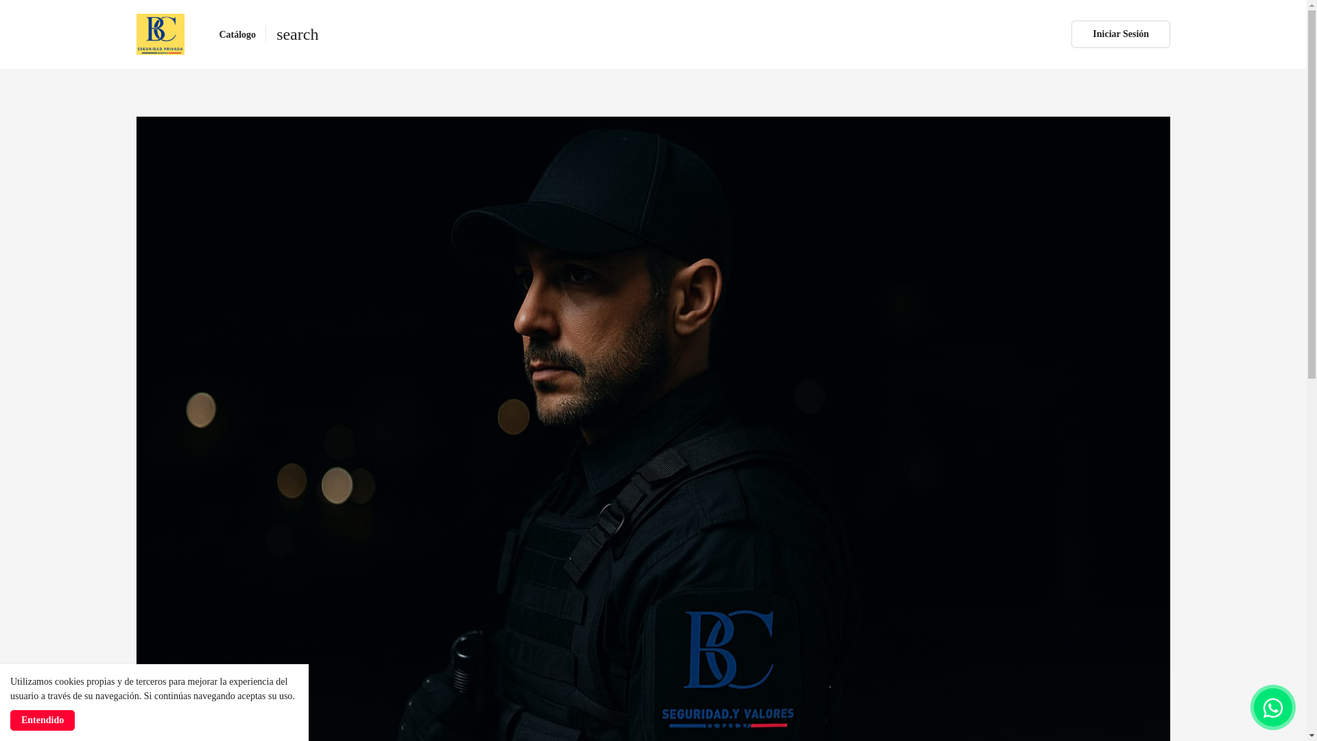 website screenshot of https://bcseguridad.com.ar/