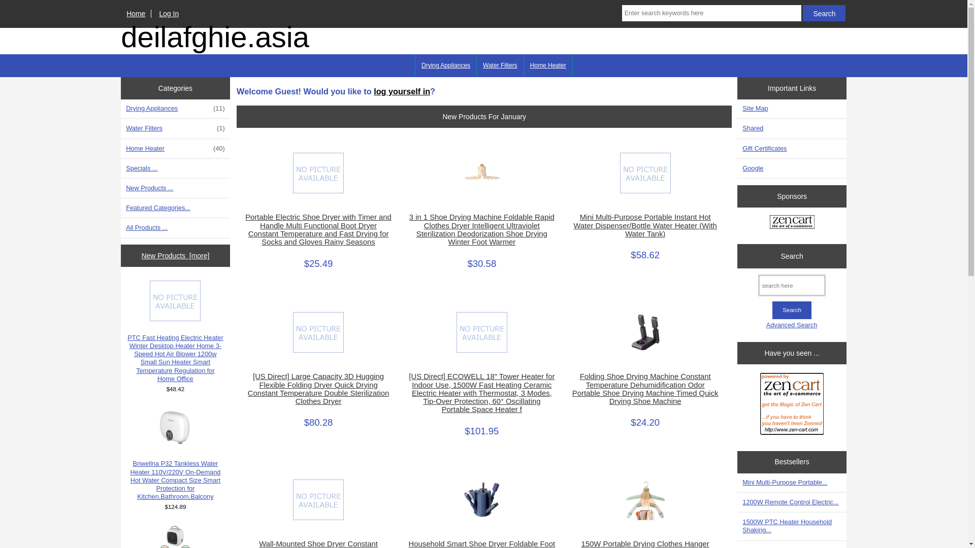 website screenshot of https://deilafghie.asia/