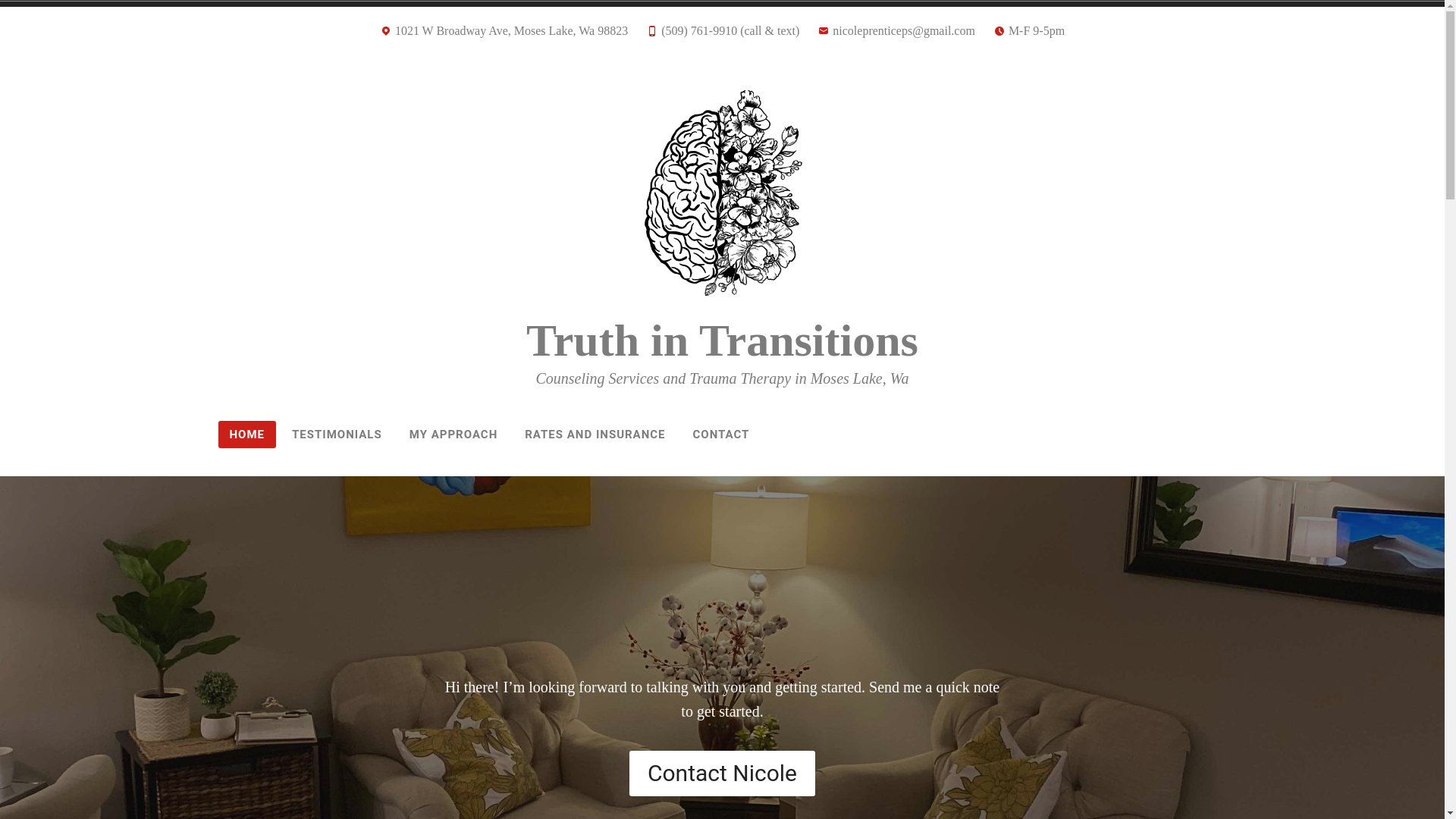 website screenshot of https://truthintranstions.com/