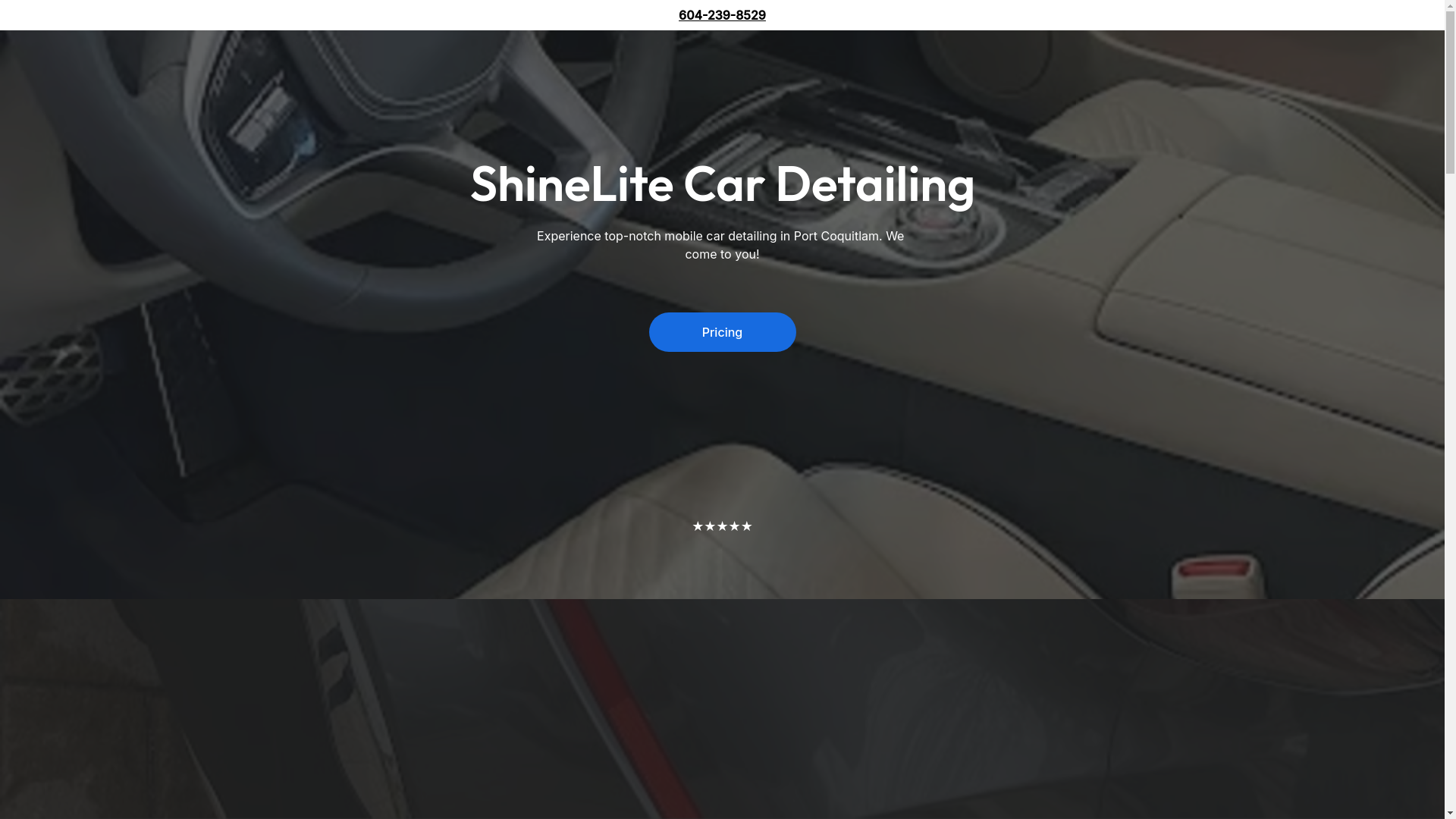 website screenshot of https://mobilecardetailingworksportcoquitlam.shop/