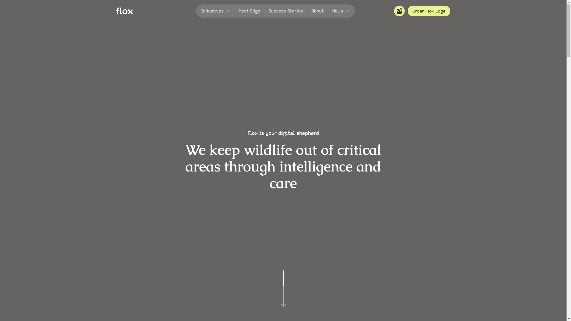 website screenshot of https://wildlifebrain.com/