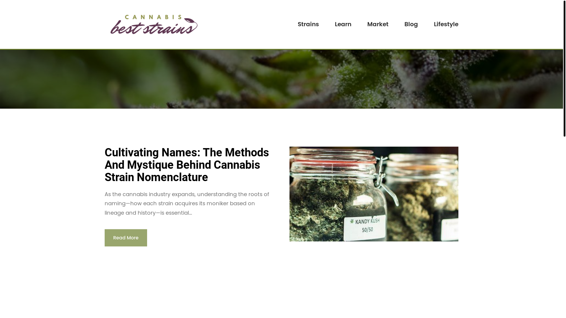 website screenshot of https://cannabisbeststrains-com.pages.dev/