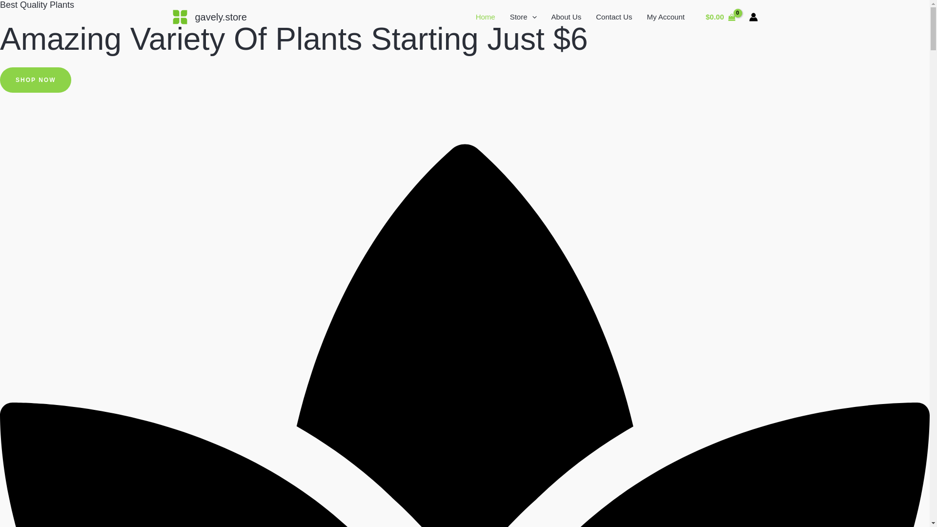 website screenshot of https://gavely.store/