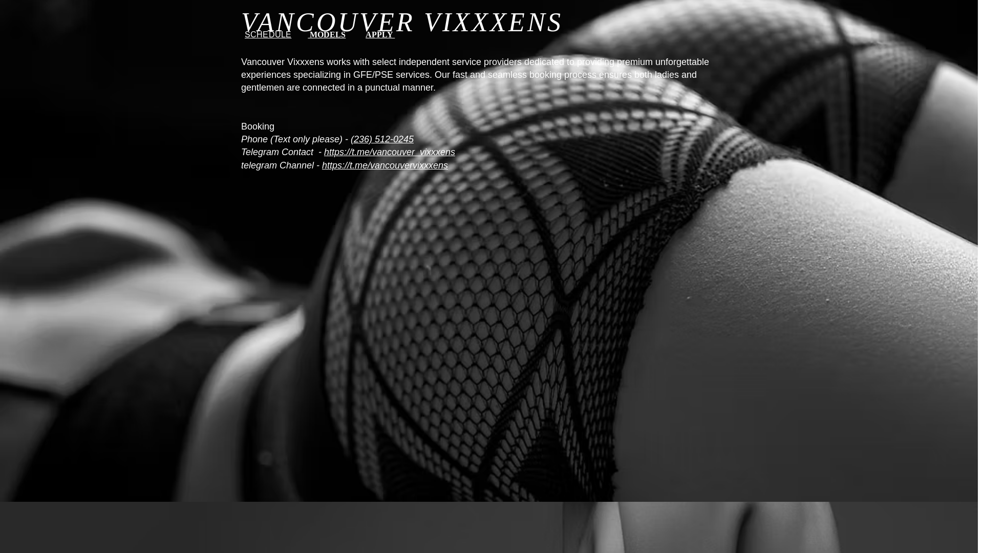 website screenshot of https://vancouvervixxxens.com/