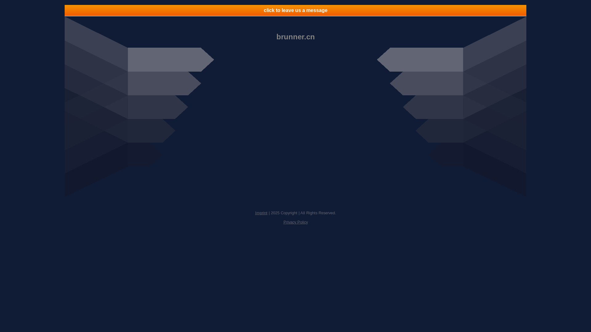 website screenshot of https://www.app.brunner.cn