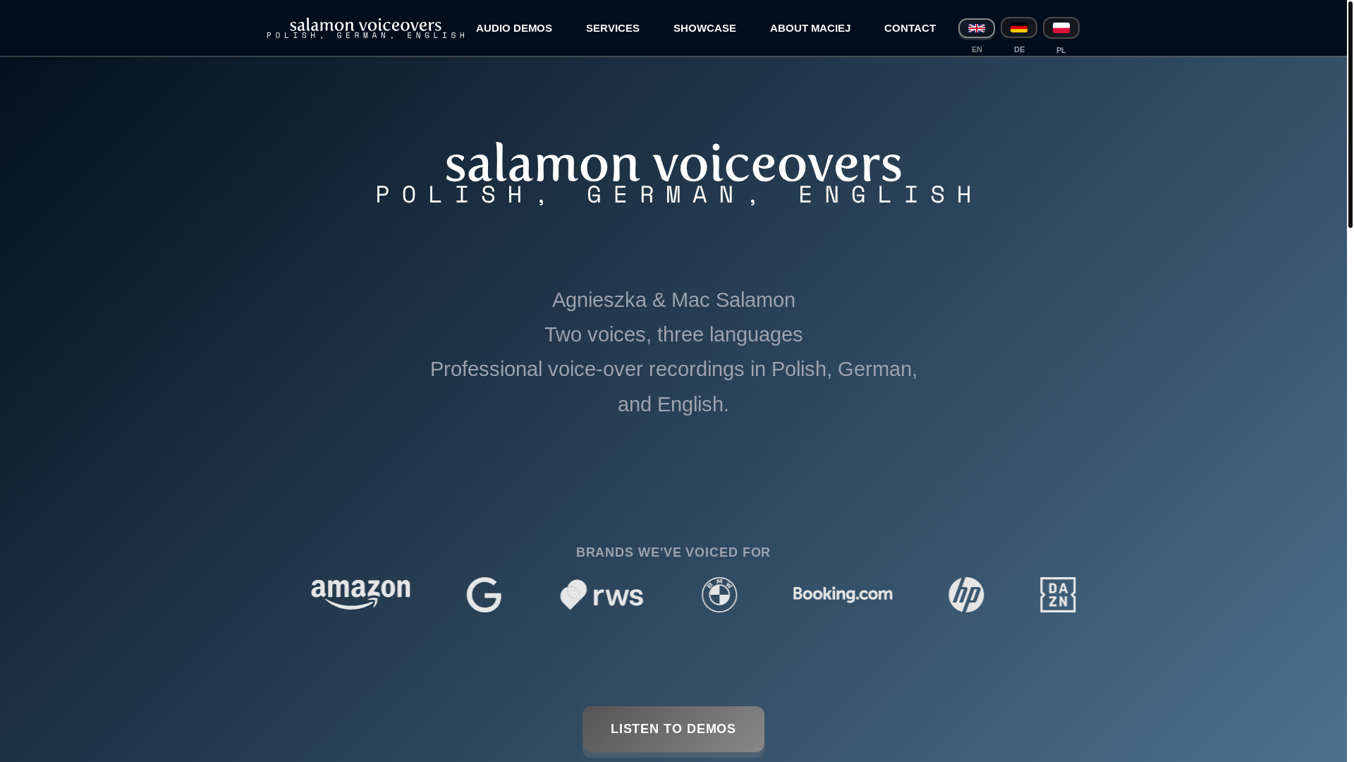 website screenshot of https://salamon-voiceover-concept.pages.dev/