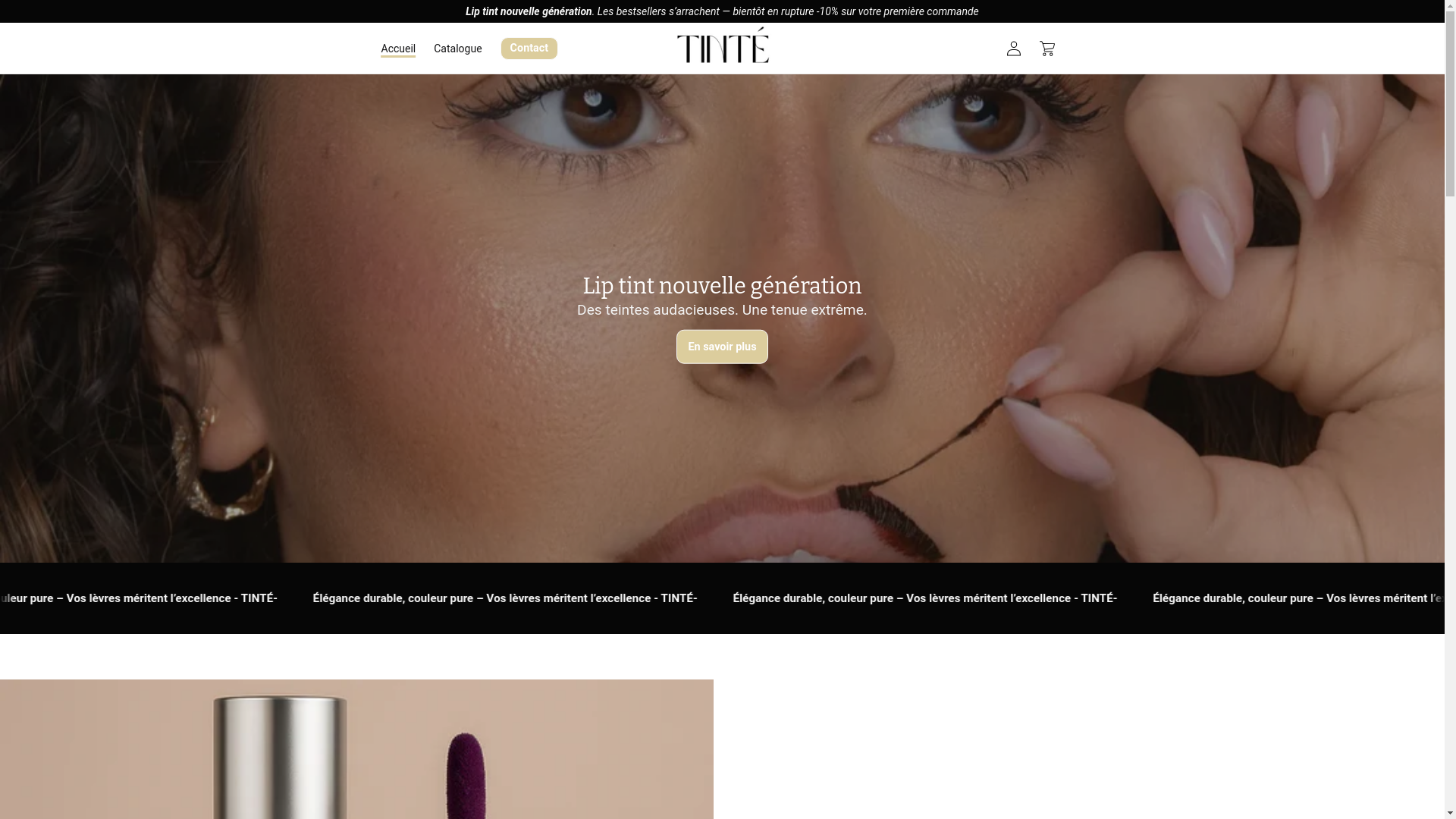 website screenshot of https://t1inte.com/