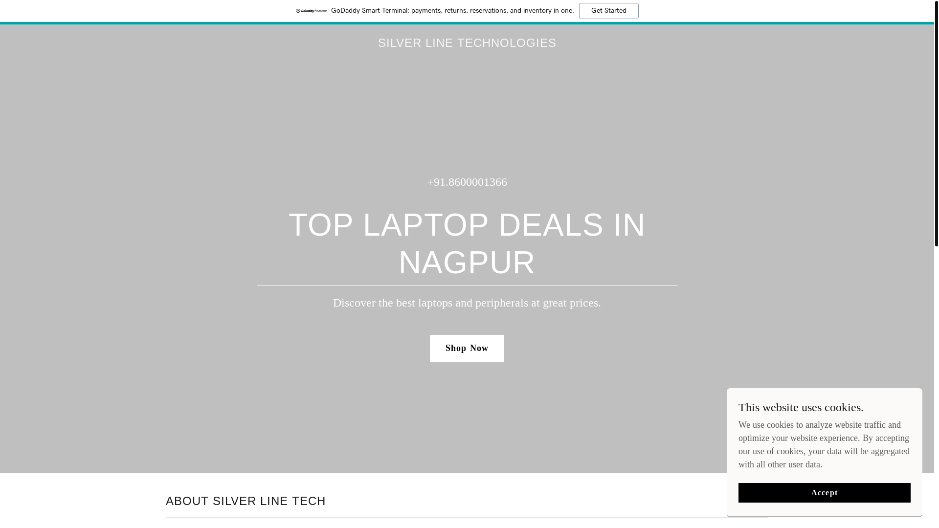 website screenshot of https://silverlinetechnologies-ngp.co.in/