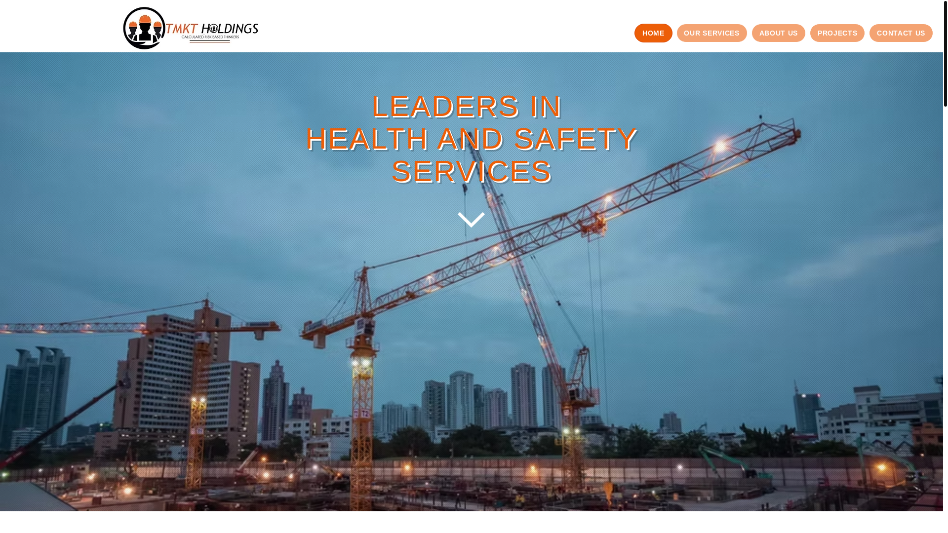 website screenshot of https://tmktgholdings.com/
