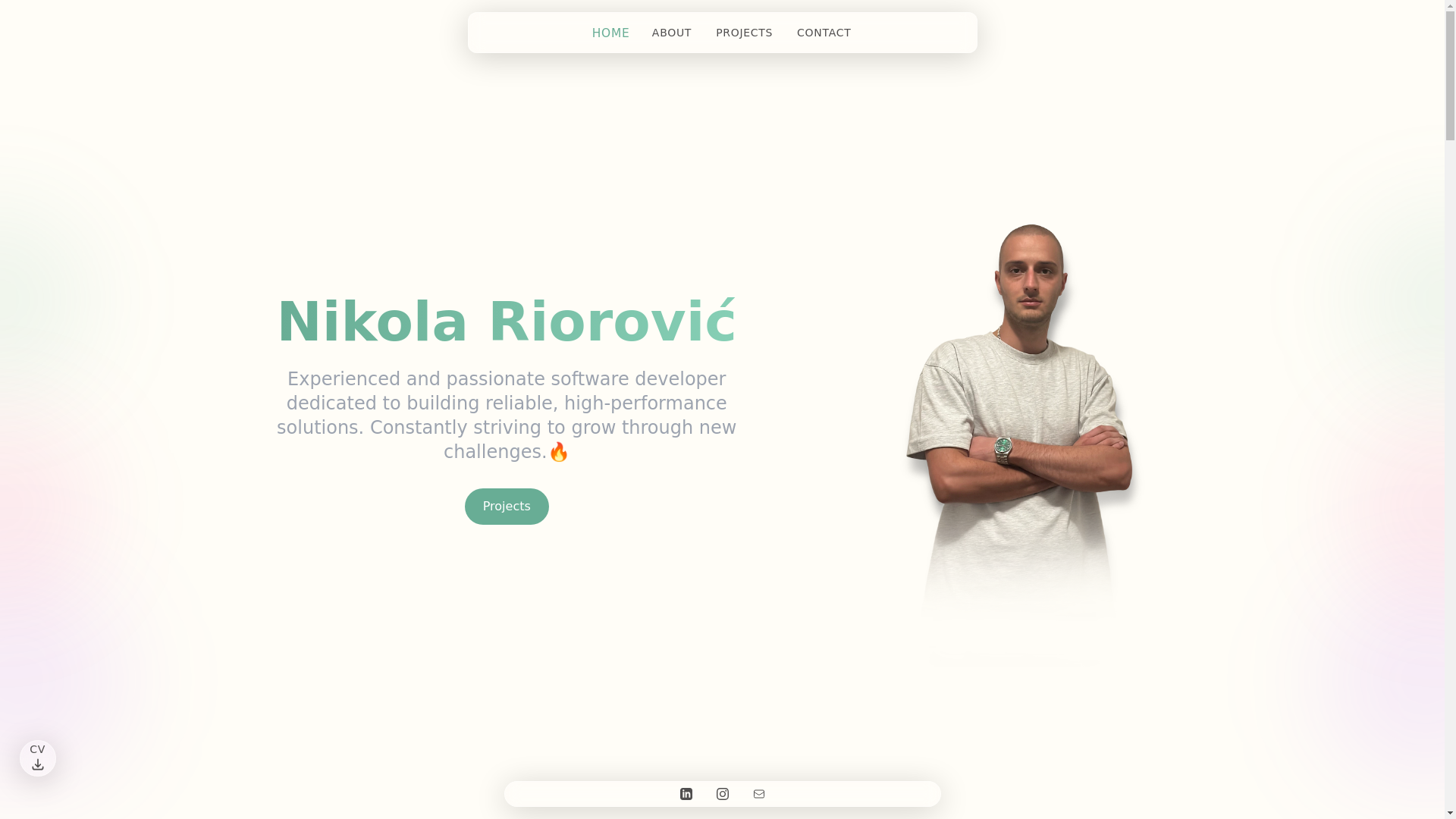 website screenshot of https://nikolariorovic.pages.dev/