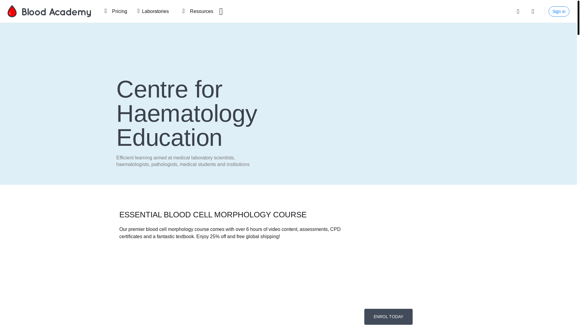 website screenshot of https://blood-academy.com/