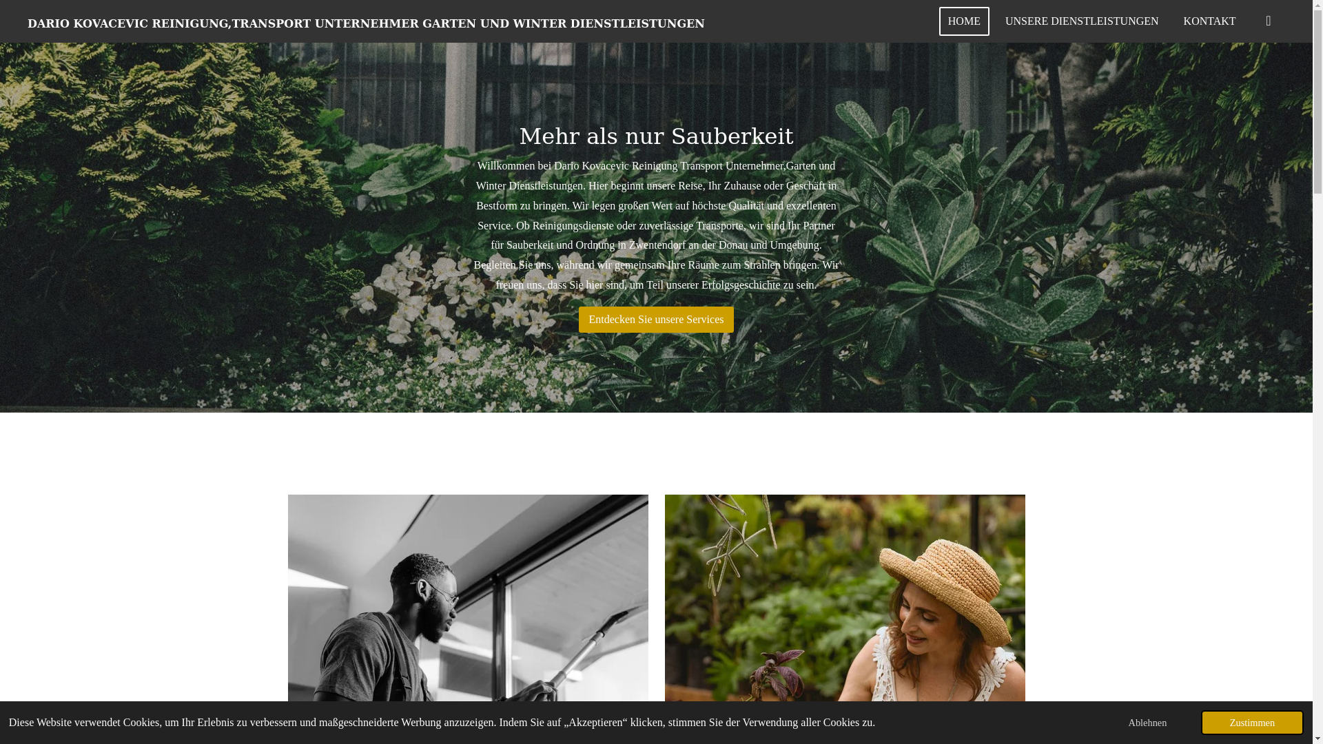 website screenshot of https://dariokovacevicreinigungtransportunternehmergartenundwint.com/