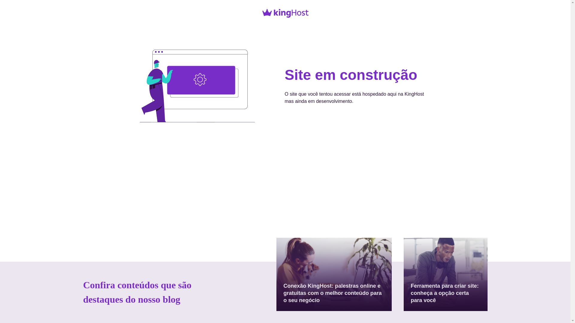 website screenshot of https://psileonardozink.com.br/