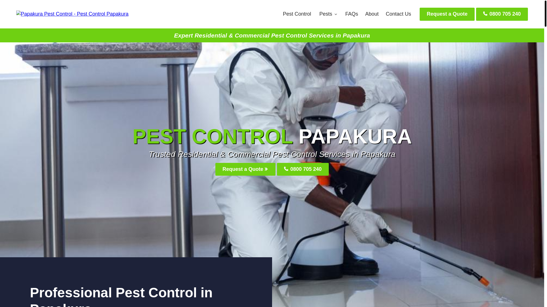 website screenshot of https://papakurapestcontrol-co-nz.pages.dev/