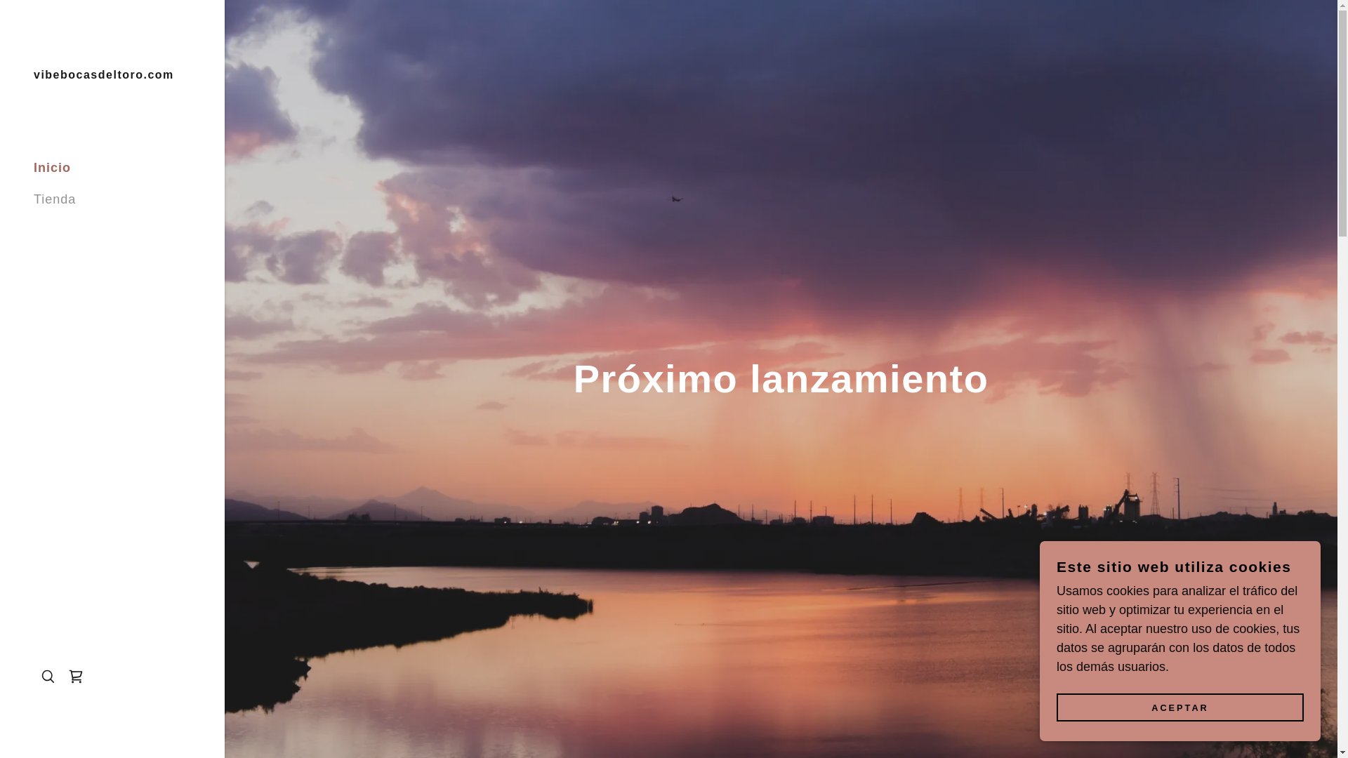 website screenshot of https://vibebocasdeltoro.com/