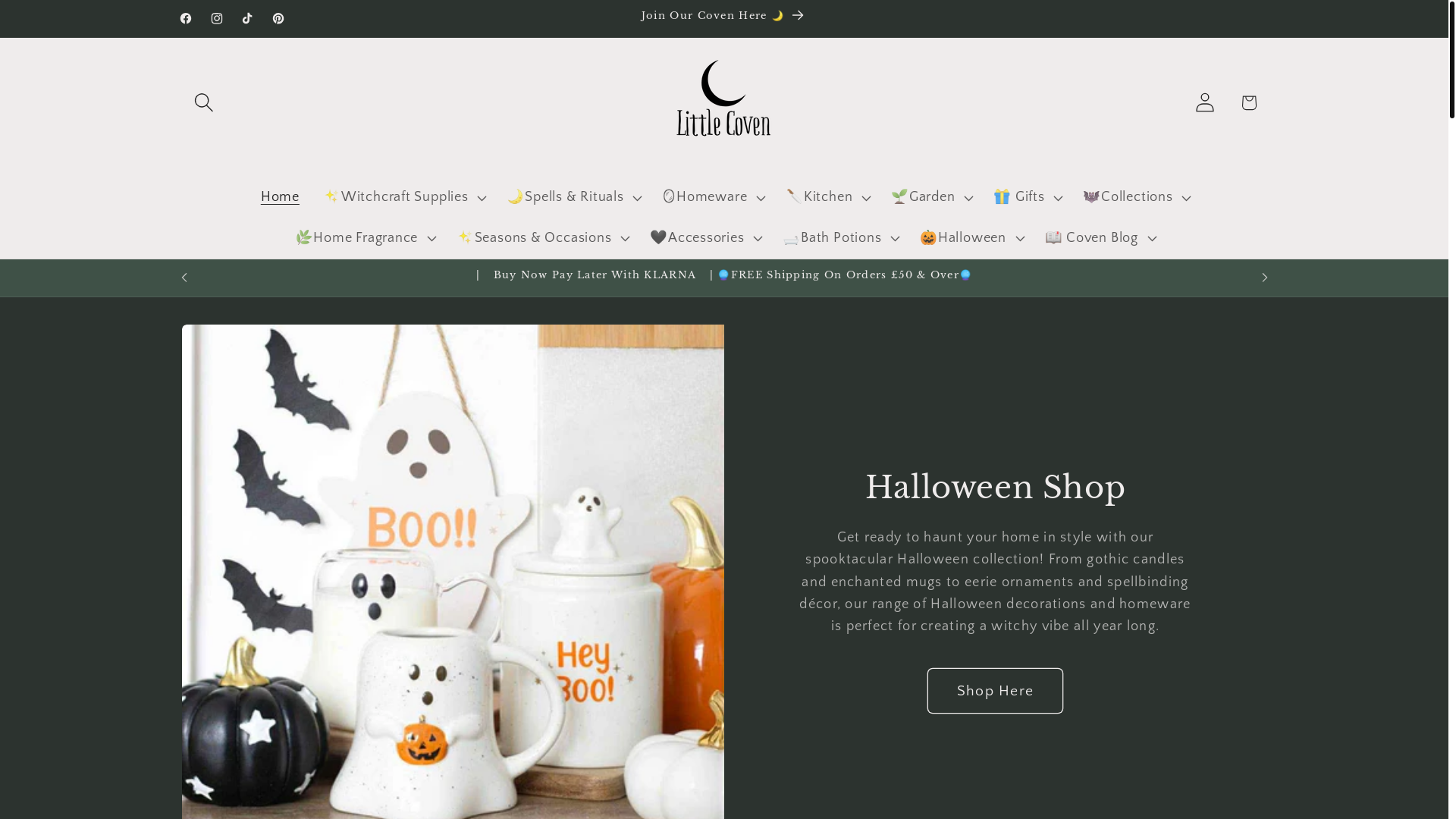 website screenshot of https://littlecovenclothing.com/