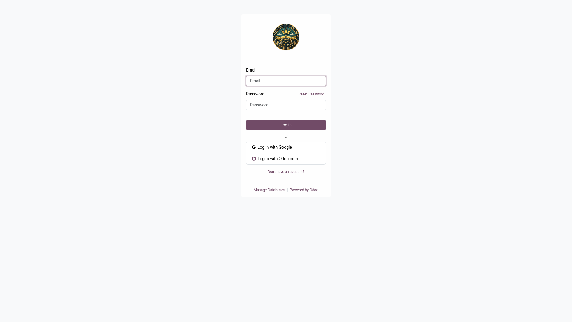 website screenshot of https://cheesemantechsolutions.com/