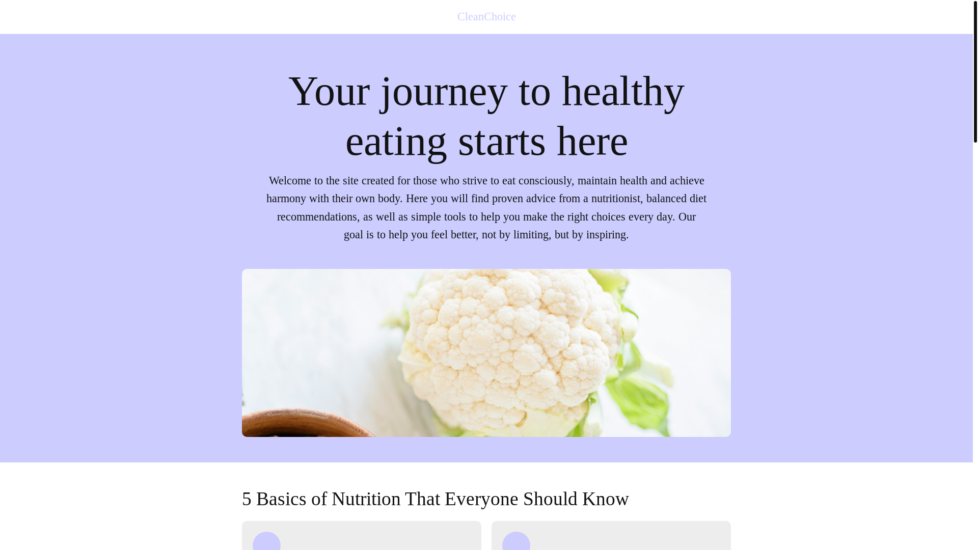 website screenshot of https://cleanchoicepro.info/