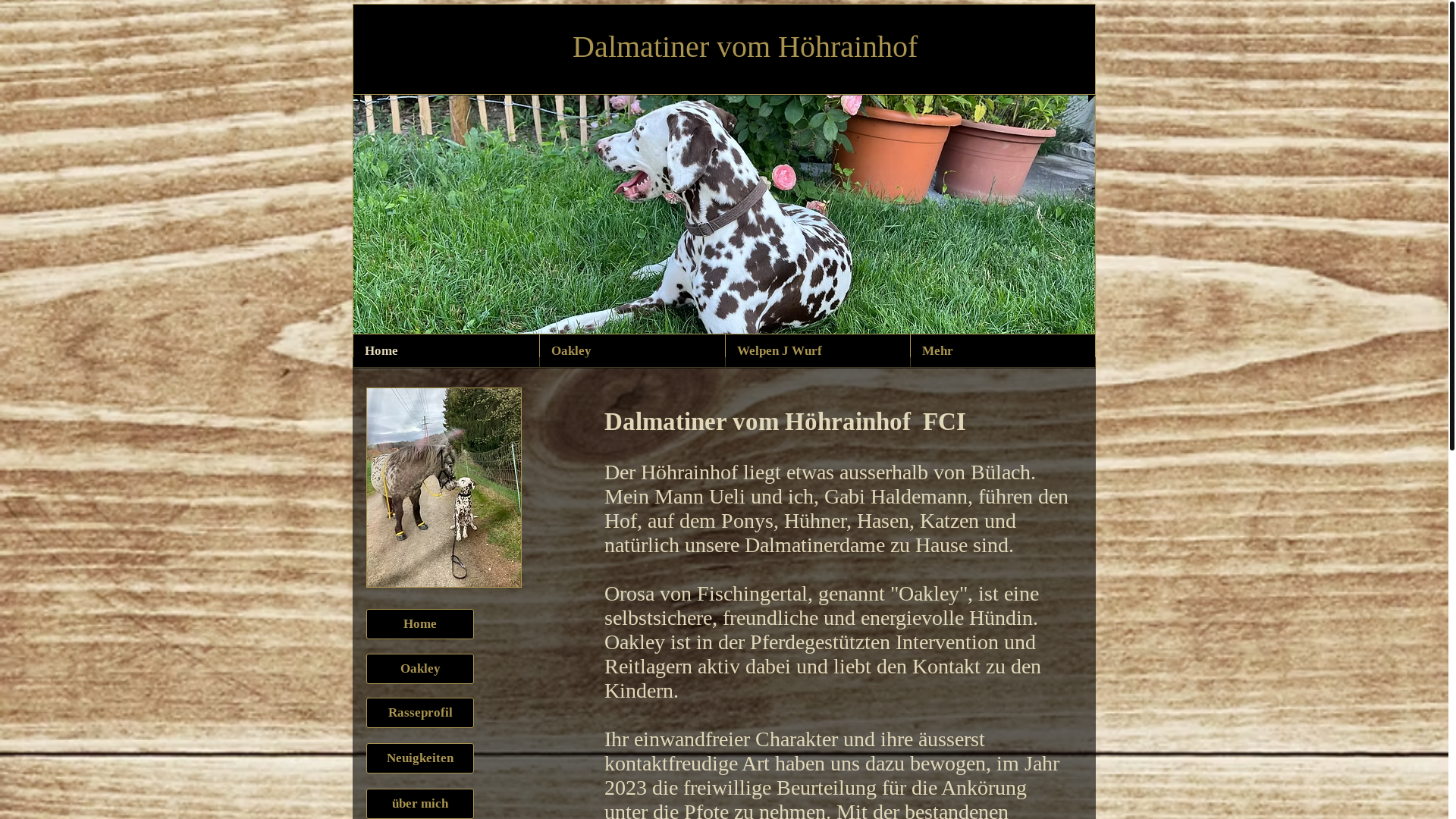 website screenshot of https://xn--dalmatiner-vom-hhrainhof-0oc.ch/