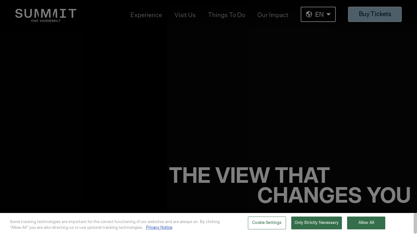 website screenshot of https://summitov.com/