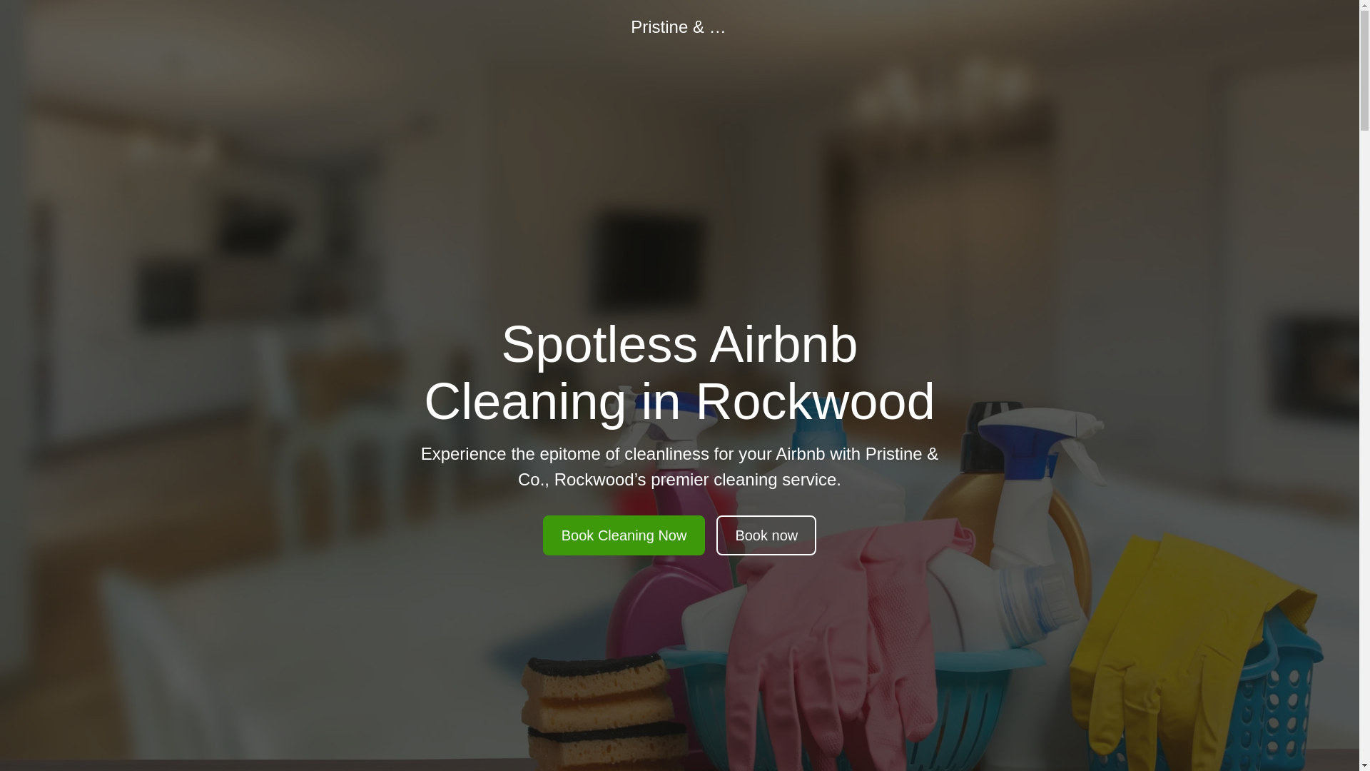 website screenshot of https://teampristinecleaning.com/