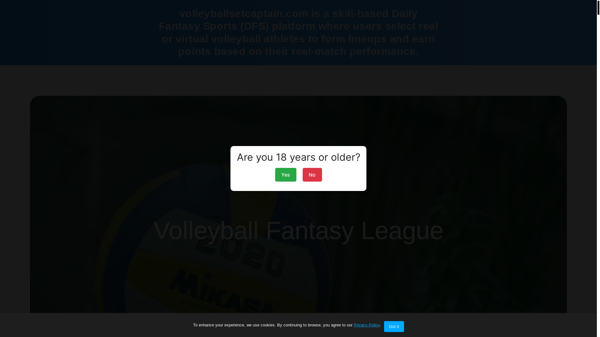 website screenshot of https://volleyballsetcaptain.com/