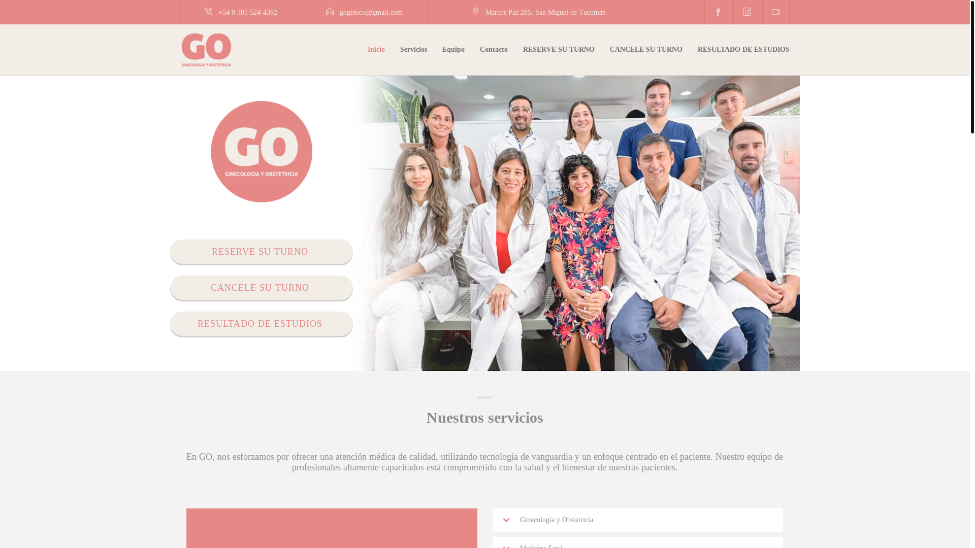 website screenshot of https://www.gogineco.com/