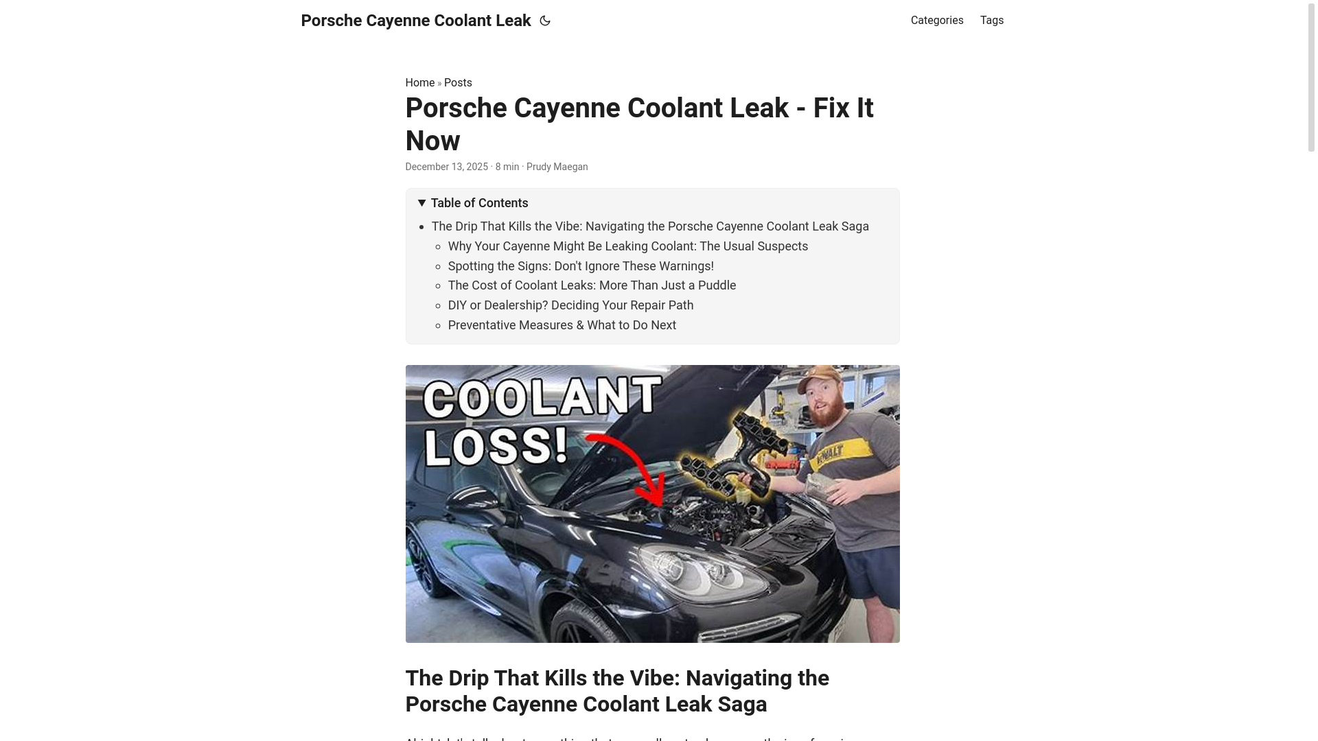 website screenshot of https://porschecayennecoolantleak.pages.dev/