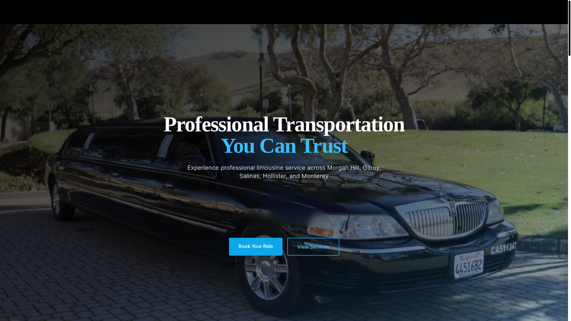 website screenshot of https://limoscenellc.com/