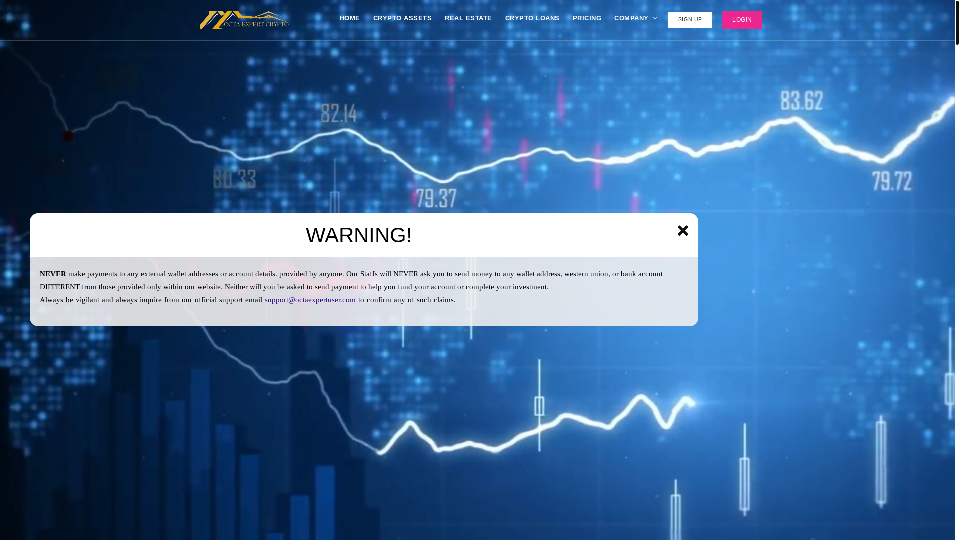 website screenshot of https://octaexpertuser.com/