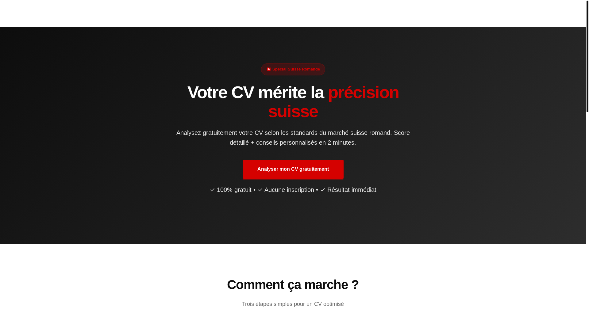 website screenshot of https://swisscv-pro.ch/