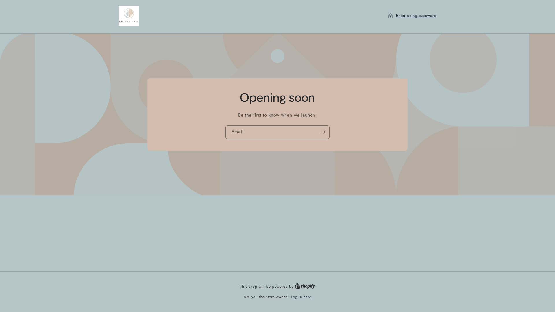 website screenshot of https://trendizhair.com/
