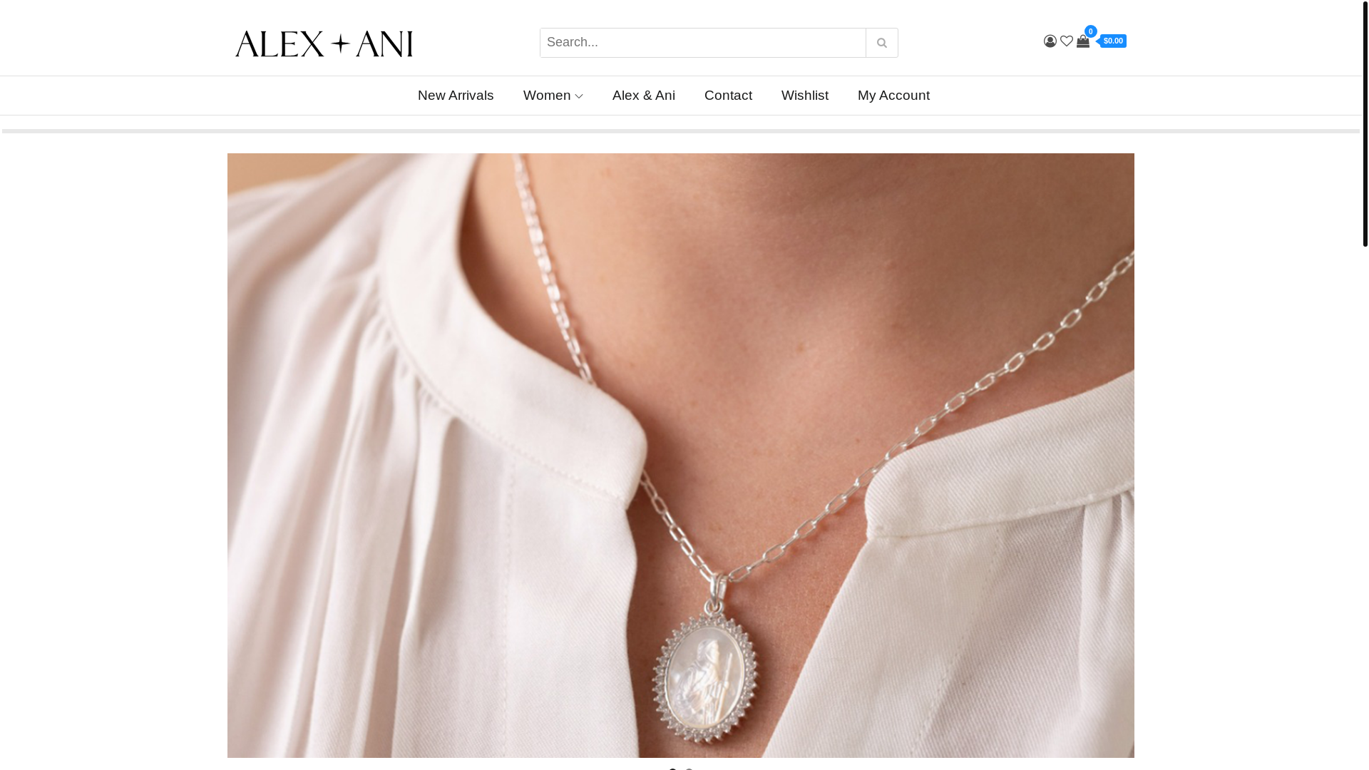 website screenshot of https://www.andreasgaidt.shop/