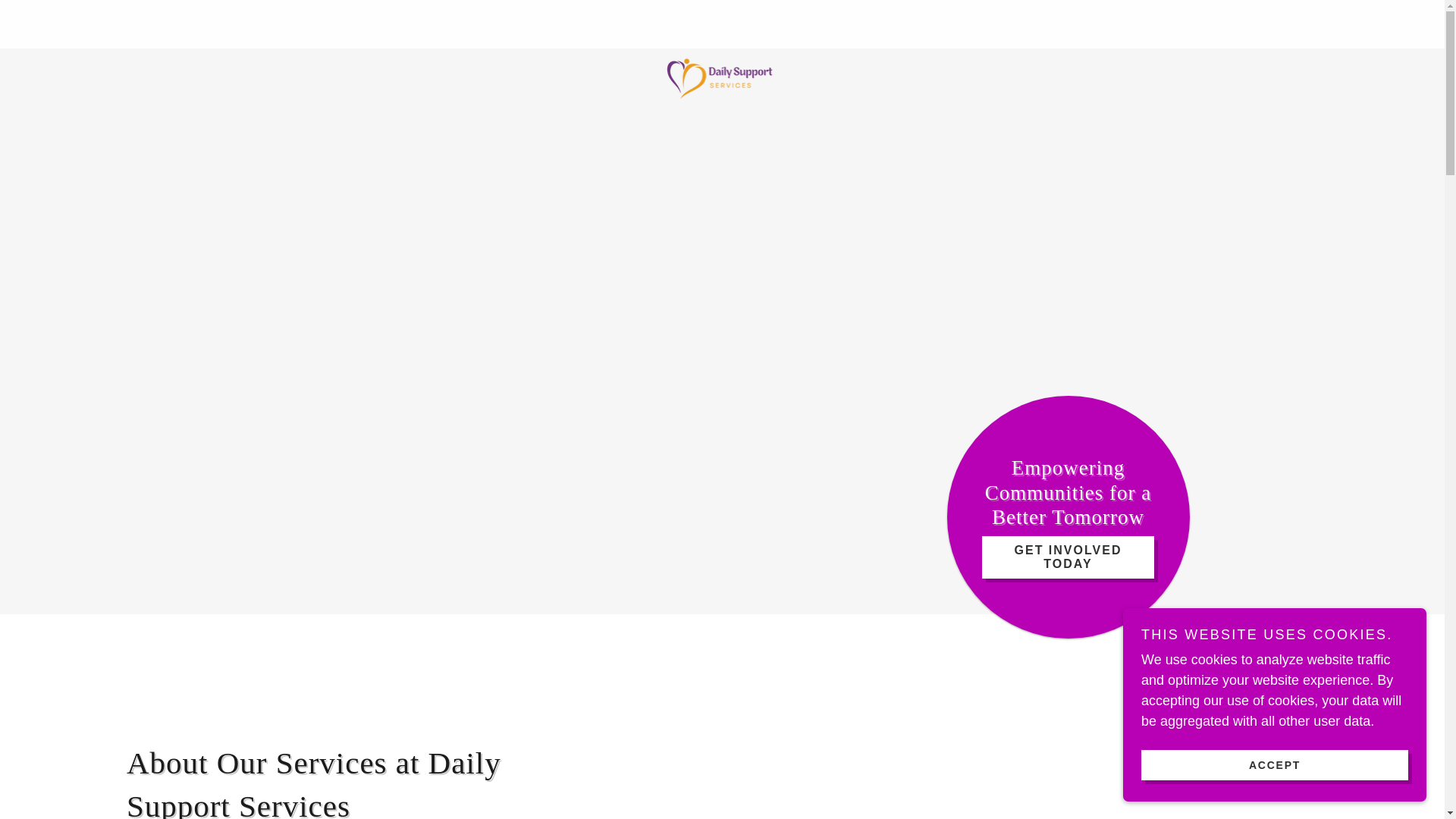 website screenshot of https://dailysupportservices.com.au/