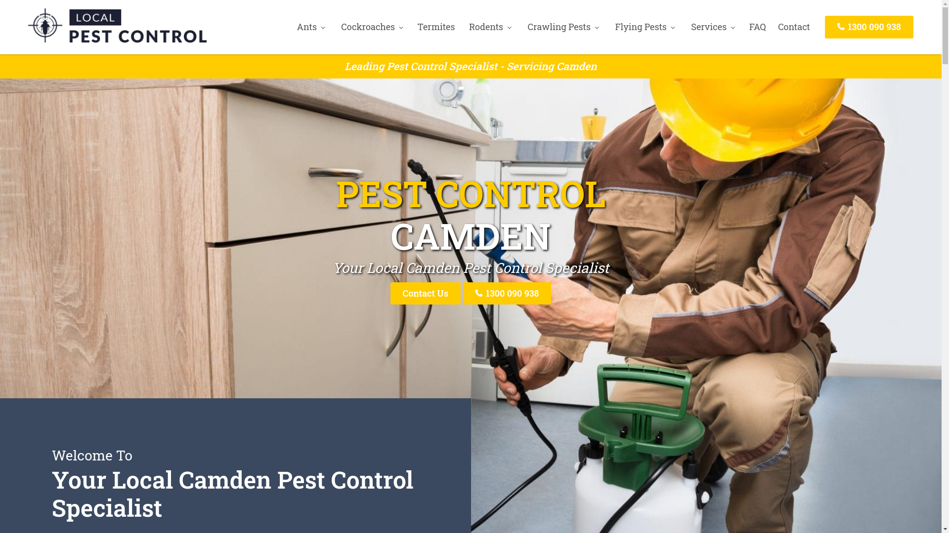 website screenshot of https://pestcontrolcamden-com-au.pages.dev/