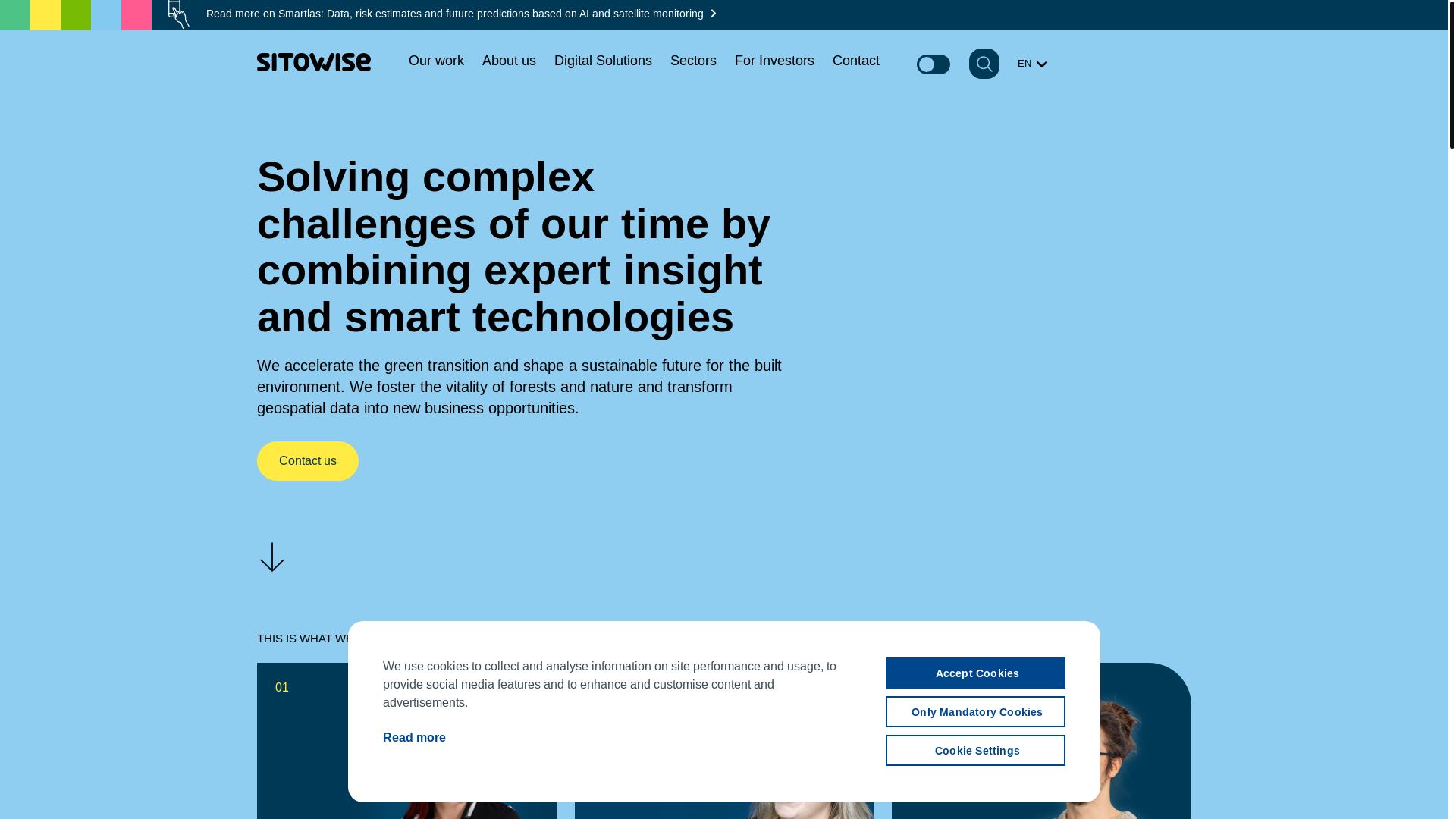 website screenshot of https://sitowise.com/