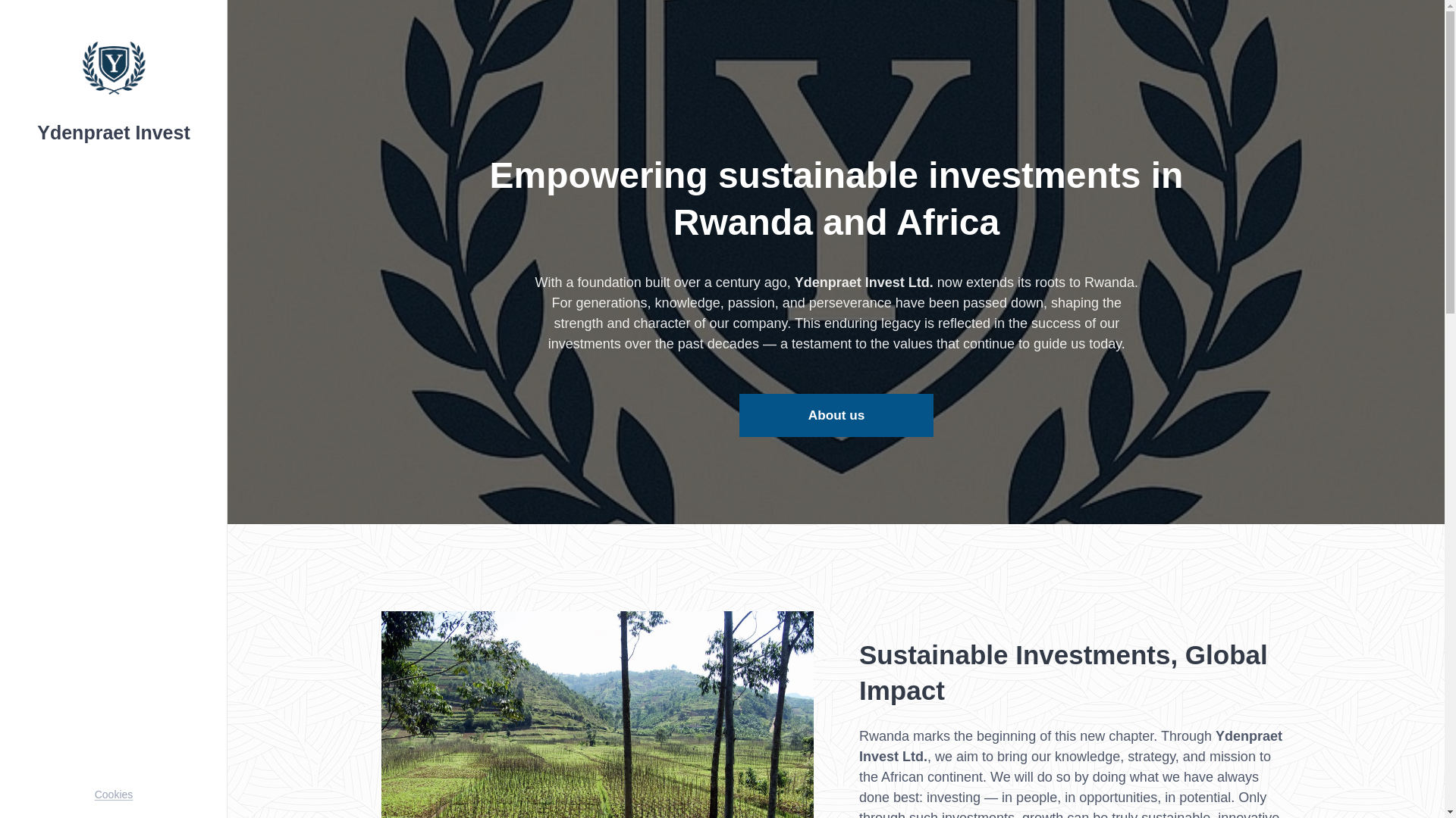 website screenshot of https://ydenpraetinvest.com/