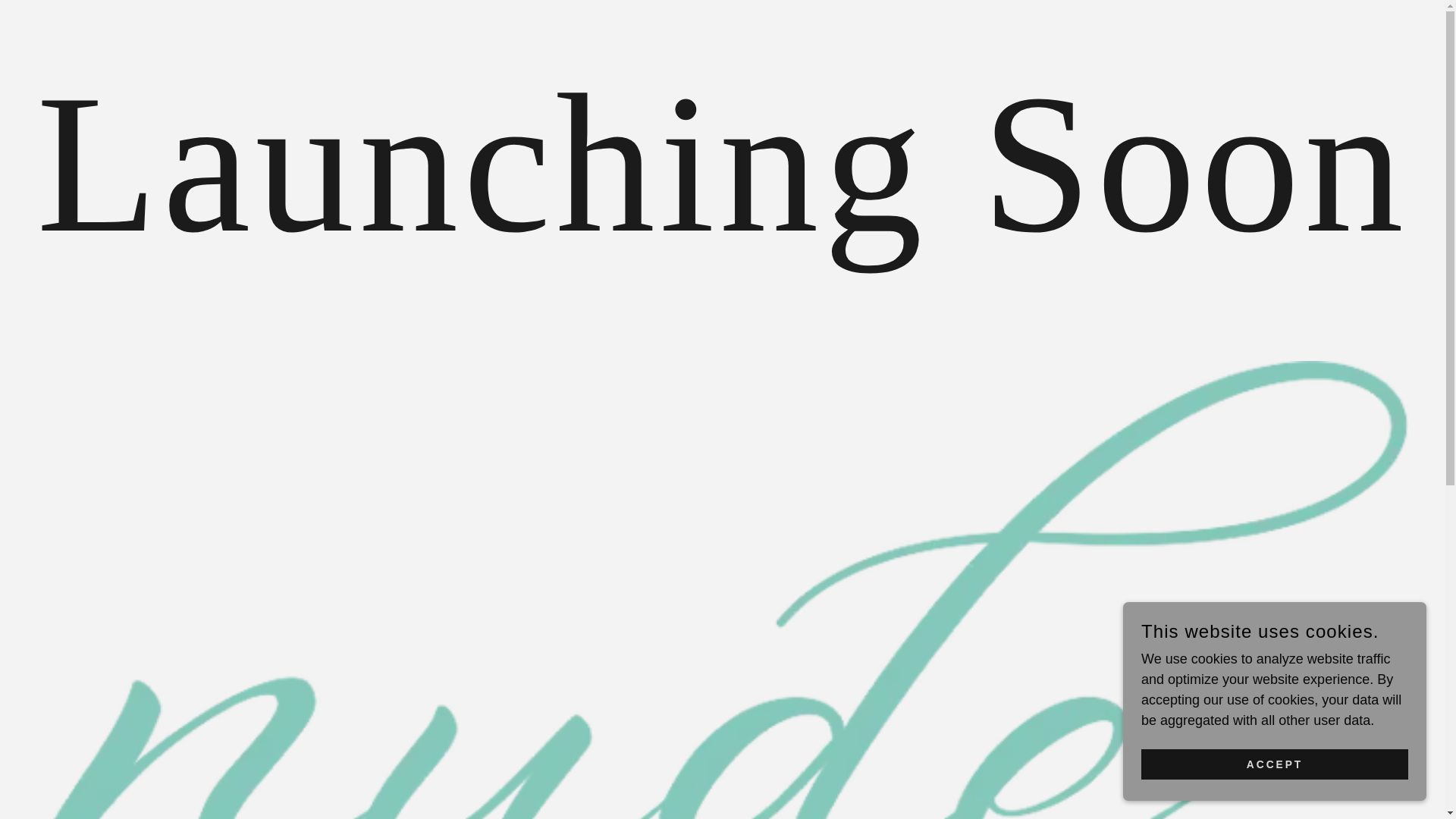 website screenshot of https://nudebody.co.za/