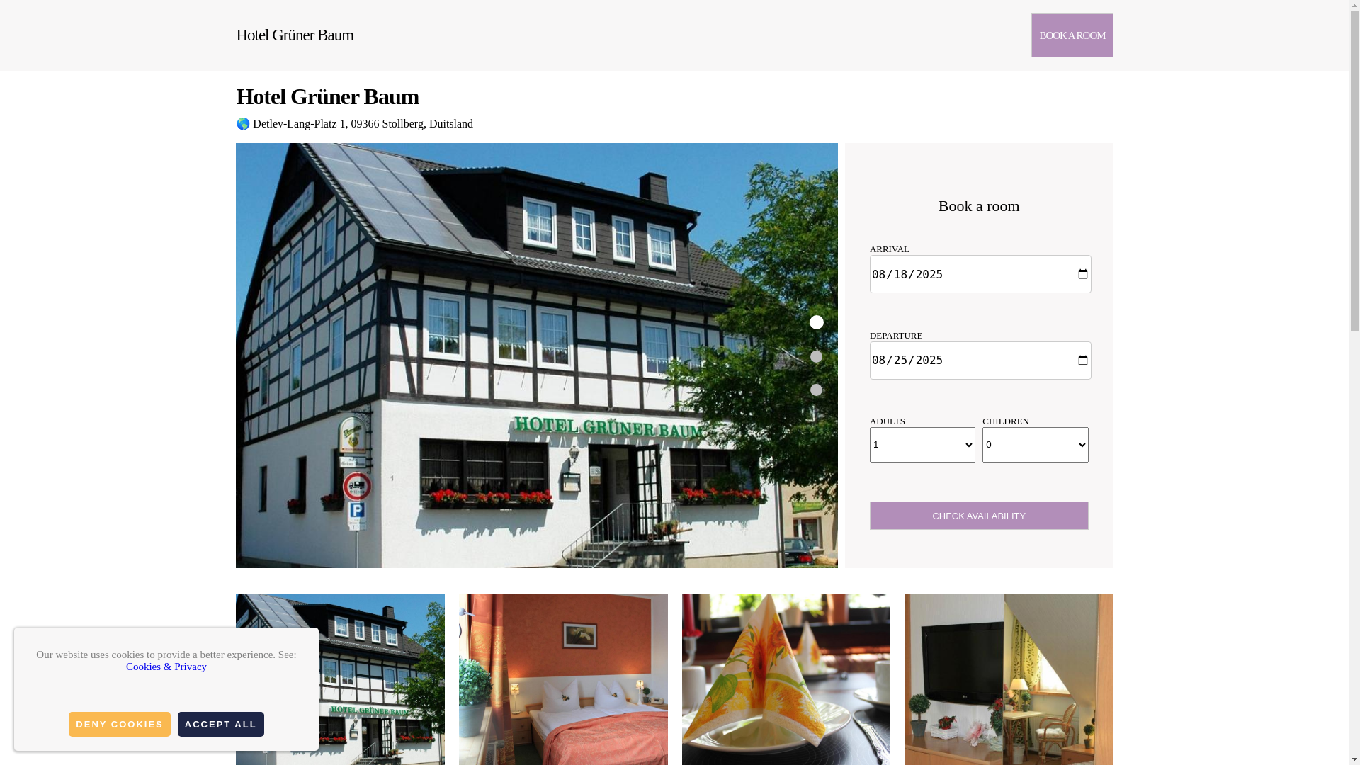 website screenshot of https://hotel-gr-ner-baum.com.es/