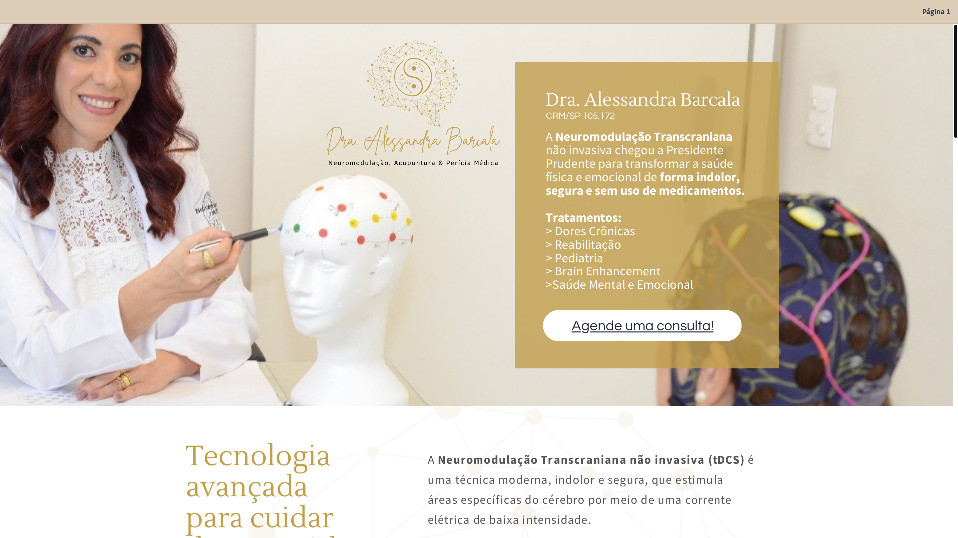 website screenshot of https://neuromodulacaopresidenteprudente.com/