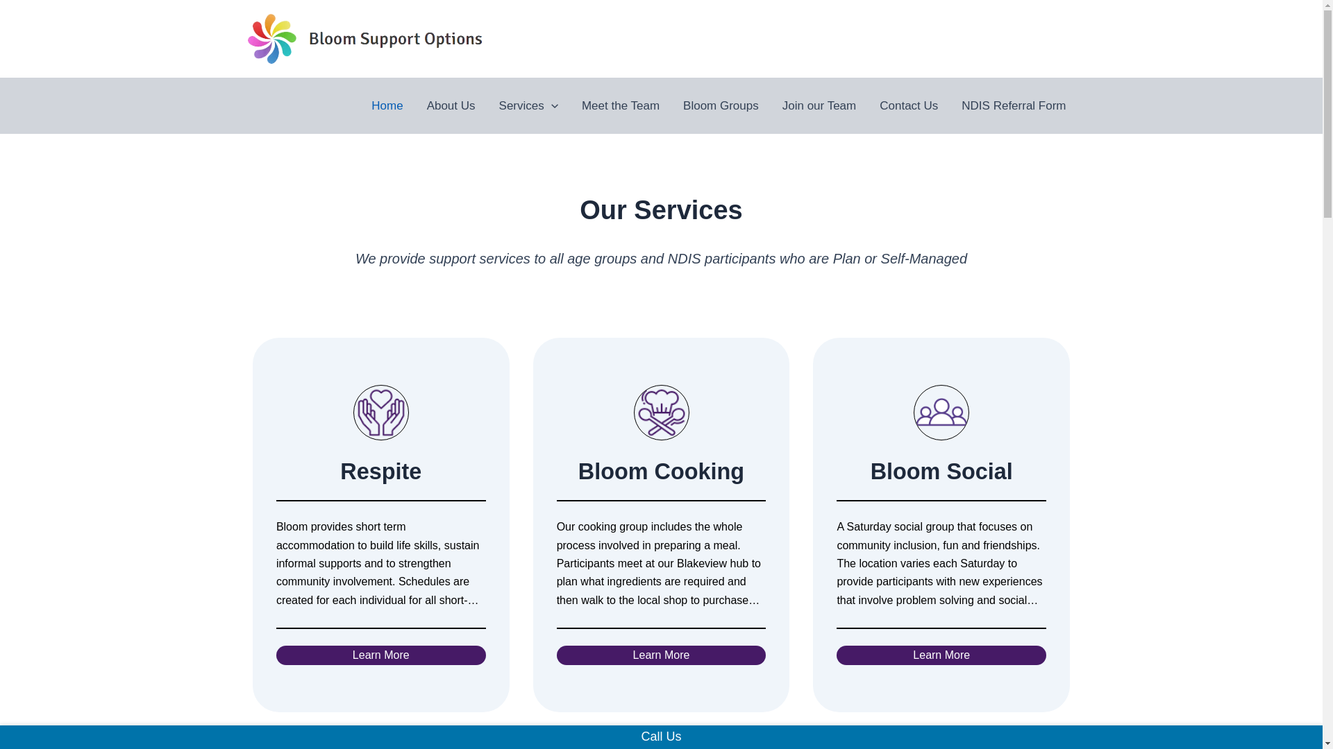 website screenshot of https://bloomsupportoptions.com.au/