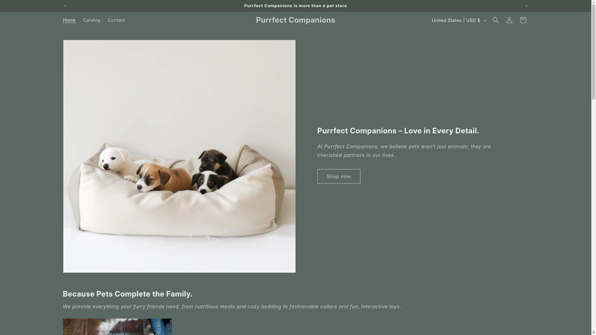 website screenshot of https://purrfectcompanions.space/